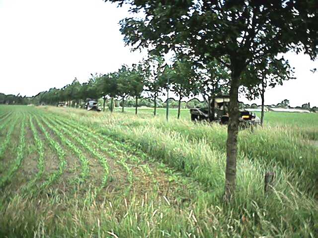 Onderweg tussen Rijen en Riel