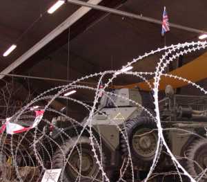 Ferret achter prikkeldraad in het Engelse kamp